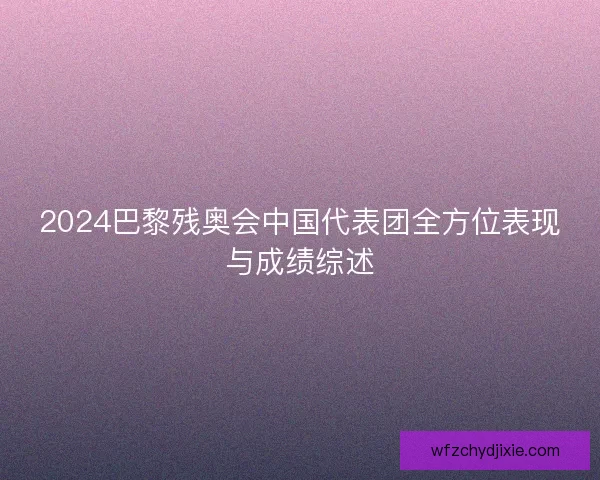 2024巴黎残奥会中国代表团全方位表现与成绩综述