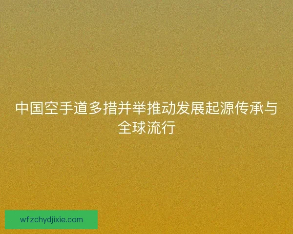 中国空手道多措并举推动发展起源传承与全球流行