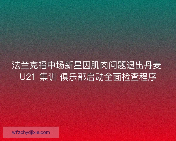 法兰克福中场新星因肌肉问题退出丹麦 U21 集训 俱乐部启动全面检查程序
