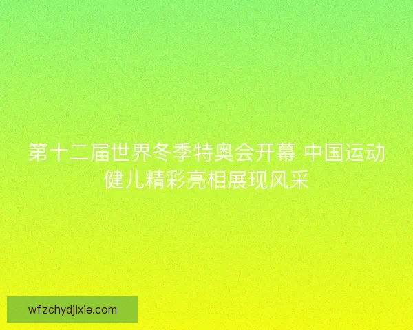 第十二届世界冬季特奥会开幕 中国运动健儿精彩亮相展现风采