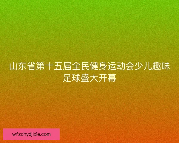 山东省第十五届全民健身运动会少儿趣味足球盛大开幕