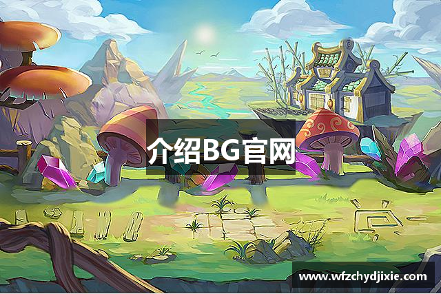 介绍BG官网